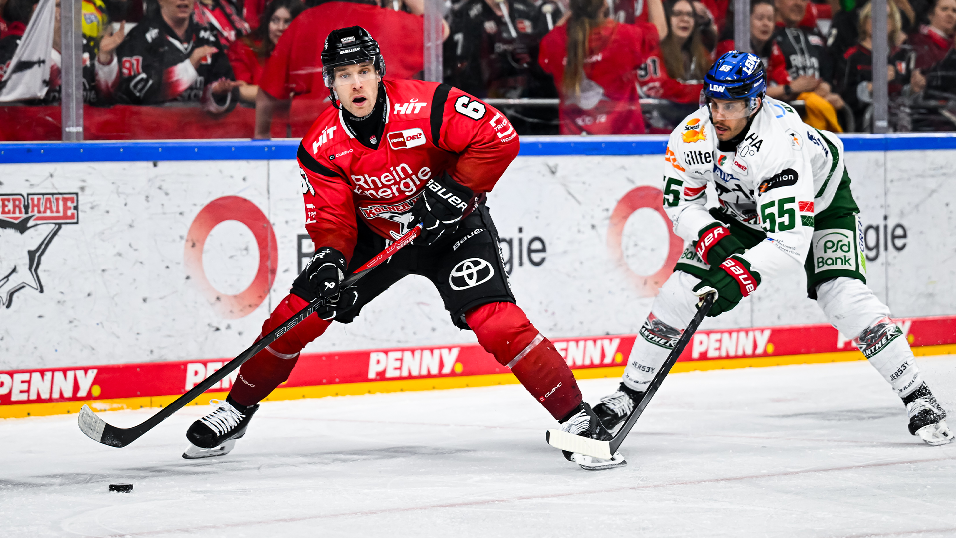 Kölner Haie gg. Augsburger Panther
